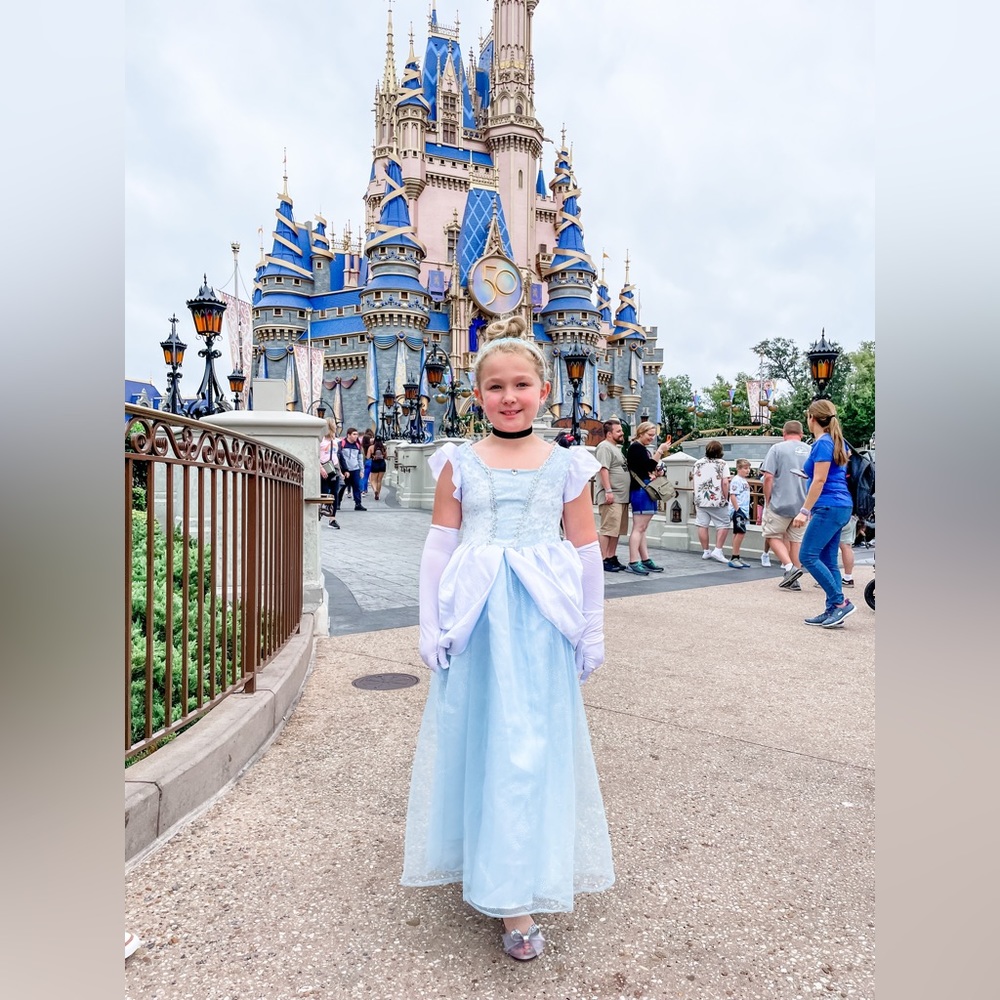 Great Pretenders Deluxe Cinderella Dress - includes accessories READ DESCRIPTION